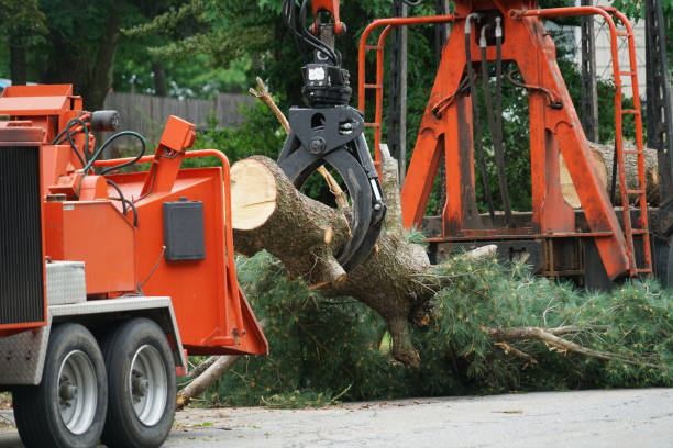 Holiday Valley, OH Tree Services Company